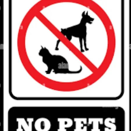 In The Heart Of The 3 Διαμέρισμα Λάρισα